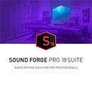 Magix Sound Forge v.18.0 Pro Suite - 1 PC Activation Code - PEGASUSS