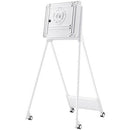 Samsung STN-WM55R Flipchart Stand - PEGASUSS