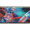 ViewSonic CDE6530-MTR Digital Signage Display - PEGASUSS