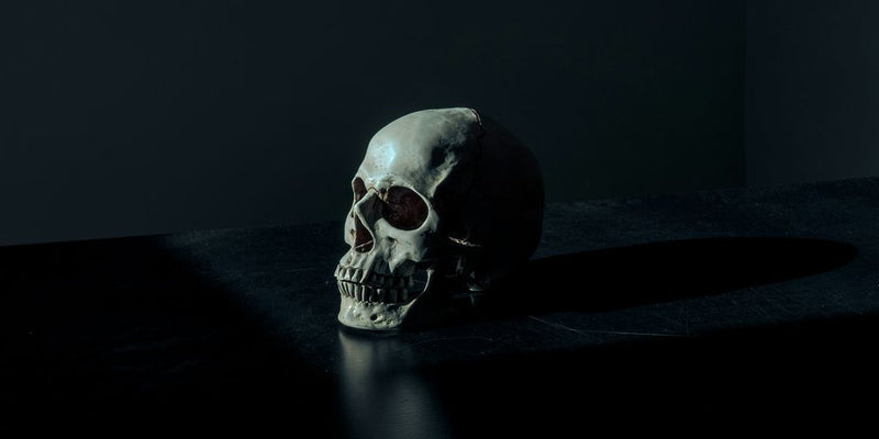 white and black skull figurine on black surface