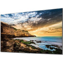 Samsung QE43T Digital Signage Display - PEGASUSS 