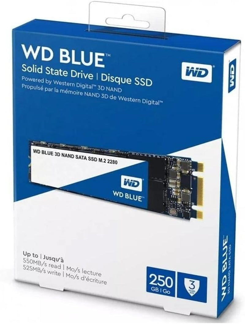 250GB WD Blue 3D NAND Internal PC SSD - SATA III 6 Gb/S, M.2 2280, up to 550 Mb/S - WDS250G2B0B Old Generation 250GB