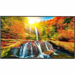 Sharp PNME552 55" Ultra High-Definition Commercial Display