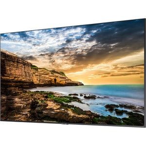 Samsung QE75T Digital Signage-Display