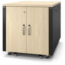 Apc By Schneider Electric Apc Netshelter Soundproof, 12u, Server Rack Enclosure, Maple - PEGASUSS 