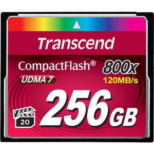 175536024.jpg