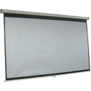 Inland 120" Manual Projection Screen - PEGASUSS 