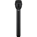 Electro-Voice RE50L Wired Dynamic Microphone - PEGASUSS 