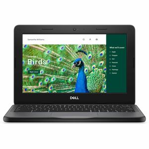 Dell Chromebook 3000 3120 11.6" Touchscreen Convertible 2 in 1 Chromebook - HD - Intel N100 - 8 GB - 64 GB Flash Memory - English (US) Keyboard - PEGASUSS 