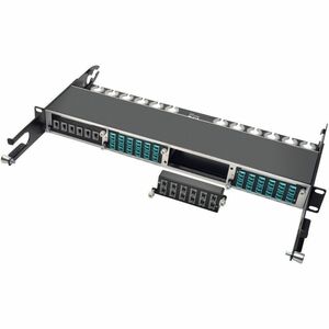 Eaton Tripp Lite Series 40Gb Pass-Through Cassette - (x12) 12-Fiber MTP/MPO ( Female ) - PEGASUSS 