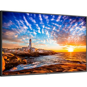 Sharp NEC-Display, 55 Zoll, großer Farbraum, Ultra-High-Definition-Display für den professionellen Einsatz