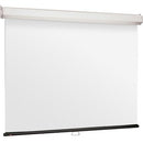 Draper Luma 2 Heavy-duty Projector Screen - PEGASUSS 