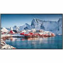 Panasonic 75-inch Class 4K UHD LCD Display TH-75SQE2W - PEGASUSS 