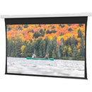 Da-Lite 133" Electric Projection Screen - PEGASUSS 