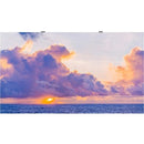 LG LSAC025-MK Digital Signage Display - PEGASUSS 