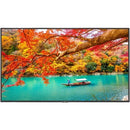 Sharp NEC Display 43" Wide Color Gamut Ultra High Definition Professional Display with PCAP Touch - PEGASUSS 