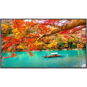 Sharp NEC Display 43" Wide Color Gamut Ultra High Definition Professional Display with PCAP Touch - PEGASUSS 