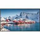Panasonic 65-inch Class 4K UHD LCD Display - PEGASUSS 
