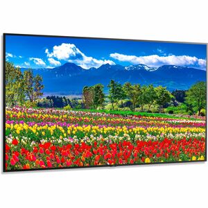 Sharp NEC Display 75" Ultra High Definition Professional Display With ATSC/NTSC Tuner - PEGASUSS 