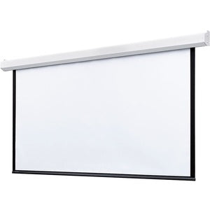 Draper Targa, 165" , 16:10, Matt White XT1000E, 110 V