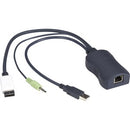 Black Box Series Server Access Module - DisplayPort, USB, and Audio, CATx - PEGASUSS 