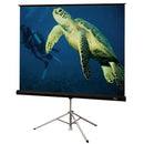 Draper Diplomat/R Projection Screen - PEGASUSS 