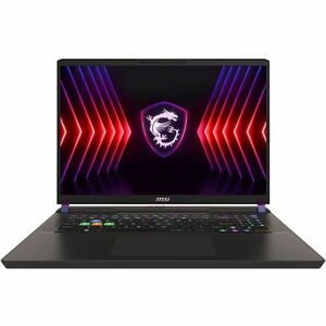 MSI Vector HX 17? QHD+ 240Hz Gaming Laptop, Intel Core i9-14900HX, RTX 4090, 64GB, 2TB SSD - Win11PRO - PEGASUSS 