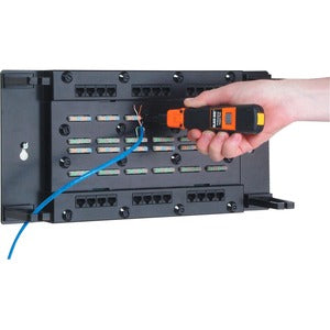 Black Box CAT5e Wallmount Patch Panel with Cover - 24-Port - PEGASUSS 