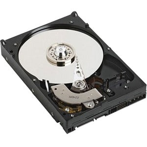 Accortec 1.80 TB Hard Drive - 2.5" Internal - SAS (12Gb/s SAS)