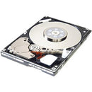 Accortec 42D0767 2 TB Hard Drive - Internal - SAS (6Gb/s SAS) - PEGASUSS 