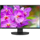 NEC Display MultiSync EA241F-BK Full HD LCD Monitor - 16:9 - Black - PEGASUSS 