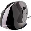 Evoluent Vertical Mouse D, Right Wired Small - PEGASUSS 