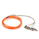 Black Box 3m ST OM1 62.5-Micron MM Fiber Pigtail 12-Strand OFNR PVC Orange - PEGASUSS 