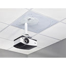Chief SpeedConnect CMS445P2 Ceiling Mount for Projector - White - PEGASUSS 
