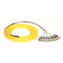 Black Box 3m ST OS2 9-Micron SM Fiber Pigtail 12-Strand OFNR PVC Yellow - PEGASUSS 