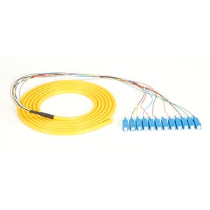 Black Box OS1 Single-Mode Fiber Optic Pigtail, 12-Strand, SC, Yellow, 3-m (9.8-ft) - PEGASUSS 