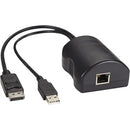 Black Box DCX Server Access Module - DisplayPort + USB - PEGASUSS 