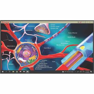 ViewSonic CDE6530-MTR Digital Signage Display - PEGASUSS 