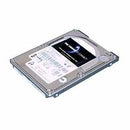 Total Micro 160 GB Hard Drive - 2.5" - SATA - PEGASUSS 
