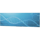 Da-Lite IDEA Panoramic 121" Projection Screen - PEGASUSS 