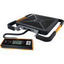 Dymo Pelouze 250lb Digital USB Shipping Scale - PEGASUSS 