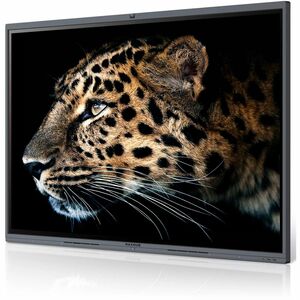 MaxHub V6 Classic C7530 Collaboration Display - PEGASUSS 