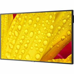 Sharp 43" Ultra High Definition Professional Display - PEGASUSS 