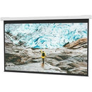Da-Lite DescenderPro 110" Electric Projection Screen - PEGASUSS 