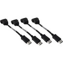 PNY DisplayPort to DVI Adapter - PEGASUSS 