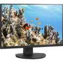 NEC Display MultiSync EA242WU-BK 24" Class WUXGA LCD Monitor - 16:10 - Black - PEGASUSS 