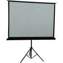 Inland 100" Projection Screen - PEGASUSS 