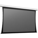 Da-Lite DescenderPro 119" Electric Projection Screen - PEGASUSS 