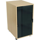Middle Atlantic 10 RU Glass Door for RK - PEGASUSS 