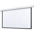 Draper Targa 123" Projection Screen - PEGASUSS 